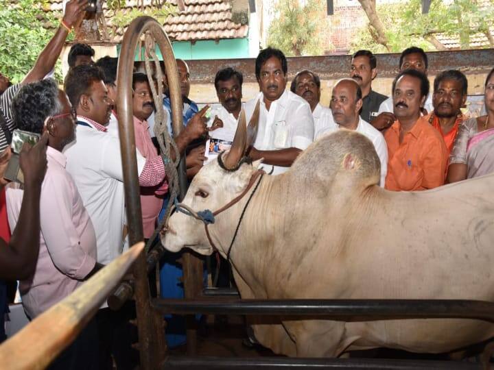 Minister Udayanidhi's visit to inaugurate Alangai Jallikattu TNN Madurai: அலங்கை ஜல்லிக்கட்டை துவக்கி வைக்க அமைச்சர் உதயநிதி வருகை..?