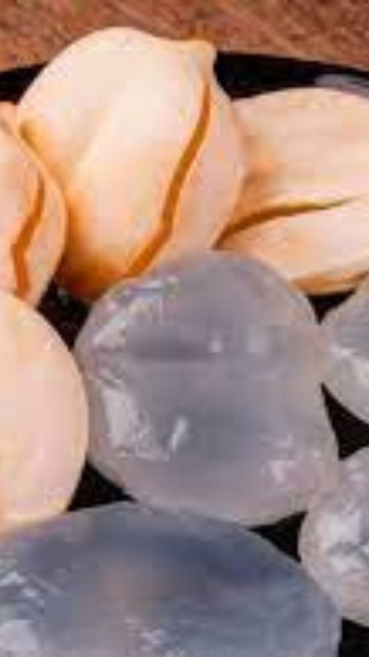 பனை நுங்கு கொழுப்பை கட்டுப்படுத்தி உடல் எடையை குறைக்கும்