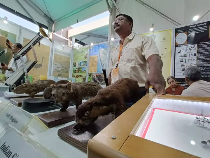 याठिकाणी मुंगूस, घुस, शेखरू आदींचे अवशेष सर्वांचे लक्ष वेधून घेत आहे.