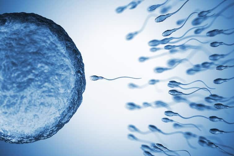 Boost Male Fertility and Increase Sperm Count Sperm Count: કેટલો હોવો જોઇએ તમારો સ્પર્મ કાઉન્ટ? WHOએ આપી જાણકારી