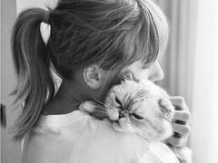 Taylor Swift की बिल्ली ऐसे कमाती है 800 करोड़, बड़े-बड़े सेलेब्स से भी ज्यादा आलीशान जिंदगी जीती है