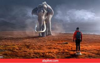 Dream Interpretation: ਸੁਪਨੇ 'ਚ ਹਾਥੀ ਨੂੰ ਵੇਖਣਾ ਸ਼ੁਭ ਮੰਨਿਆ ਜਾਂਦਾ ਹੈ, ਘਰ 'ਚ ਸ਼ਾਂਤੀ ਤੇ ਖੁਸ਼ਹਾਲੀ ਦਾ ਸੰਕੇਤ ਦਿੰਦਾ ਹੈ