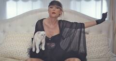 Taylor Swift Cat: बिल्ली से बच्चे की तरह प्यार करती हैं टेलर स्विफ्ट, तस्वीरों में देखें मालकिन और ओलिविया बेनसन के बीच प्यारा बॉन्ड