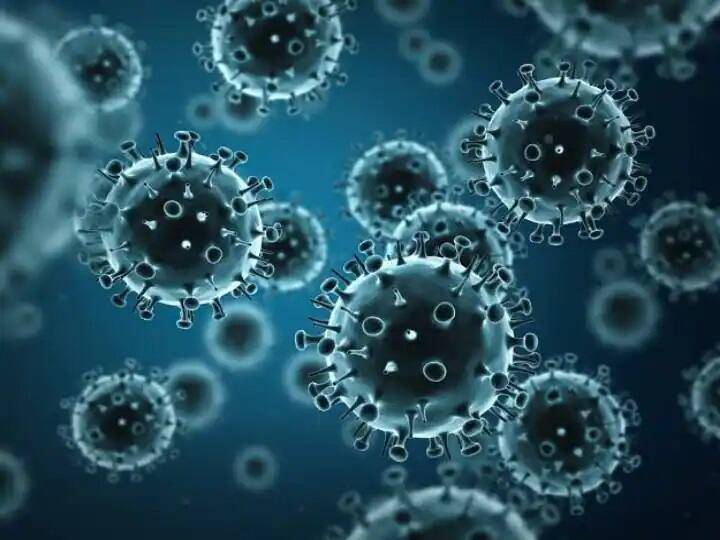 what is h3n2 virus know how it can affect human body Health News: કોરોનાની સાથે આ વાયરસનો પણ વધી રહ્યો છે ખતરો, આ લક્ષણો દેખાય તો ચેતી જજો