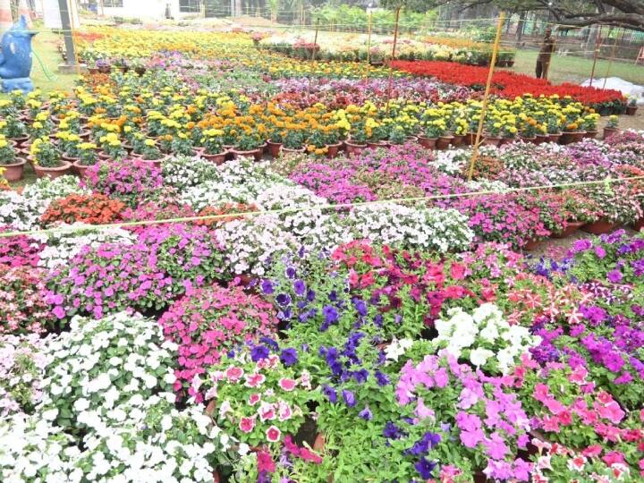 Chhattisgarh Flower Show CM Bupesh Baghel inaugurate raipur flowers fruits Exhibition special flowers seen in fair ann Chhattisgarh Flower Show: रायपुर में कल से तीन दिवसीय प्रदर्शनी, मेले में दिखेगी खास फूलों और फलों की झलक 