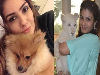 Raveena Tandon: મૂંગા પ્રાણીઓની હમદર્દ બની રવીના ટંડન, કડકડતી ઠંડીમાં હીટર અને દવાઓ આપી