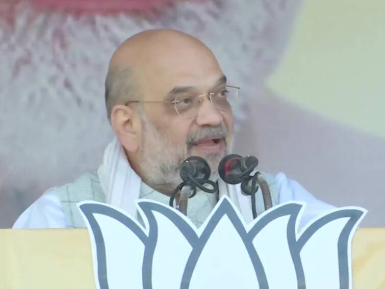 BJP Formed On Basis Of Ideological Pillar Called 'Cultural Nationalism': Amit Shah BJP Formed On Basis Of Ideological Pillar Called 'Cultural Nationalism': Amit Shah