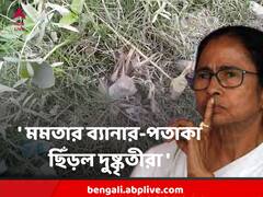 'ছেঁড়া হল মমতার ছবি, তৃণমূলের পতাকা সঙ্গে বোমাবাজি', শনিবার উত্তপ্ত সোনারপুর