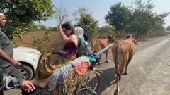 मेळघाट दौऱ्यावर असलेल्या नवनीत राणांची बैलगाडी सवारी, पाहा फोटो