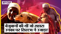Bulldozer Action: बेज़ुबानों की थीं जो सहारा उनका घर सिस्टम ने उजाड़ा!