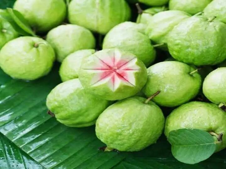 Benefits of eating guava immunity booster lower blood sugar level take care of the heart Guava Benefits: જામફળના સેવનના છે અદભૂત ફાયદા, ઇમ્યુનિટિ બૂસ્ટ કરવાની સાથે આ બીમારીમાં છે કારગર