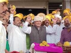 Devgad Hapus : कोल्हापुरात देवगड हापूसला विक्रमी भाव; सर्वाधिक बोली लावून खासदार धनंजय महाडिकांनी केली खरेदी