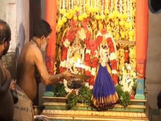 மீனாட்சியம்மன் சமேத ஐராவதேஸ்வரர் கோயில் ஆருத்ரா தரிசனம் - திரளான பக்தர்கள் பங்கேற்பு