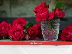 कर्ज से हैं परेशान तो आजमाएं गुलाब के ये टोटके, घर में होगी बरकत