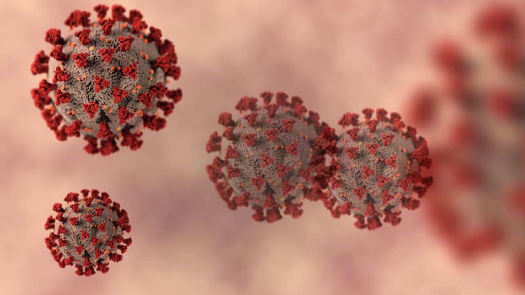 coronavirus in india 200 passengers found positive omicron bf 7 sub variant found in many Coronavirus : परदेशातून आलेले 200 हून अधिक प्रवासी कोरोनाबाधित, सर्वाधिक ओमायक्रॉनचे रुग्ण