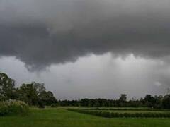 हवामानातील बदलाचा शेती पिकांना फटका, उत्पादनात घट होणार; शेतकरी चिंतेत