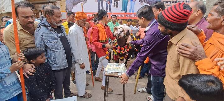 एखाद्या नेत्याला किंवा सेलिब्रिटीला लाजवेल असा रेड्याचा वाढदिवस साजरा करण्यात आला आहे.