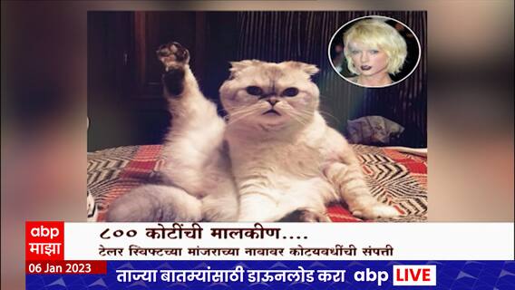 Special Report CAT:जगातील सर्वात श्रीमंत पाळीव प्राण्यांच्या यादीत तिसऱ्या स्थानी,800 कोटींची मालकीण