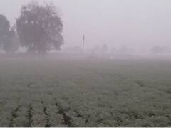 विदर्भासह पश्चिम महाराष्ट्रात पारा घसरला, तर दिल्लीत 1.5 अंश सेल्सिअस तापमानाची नोंद