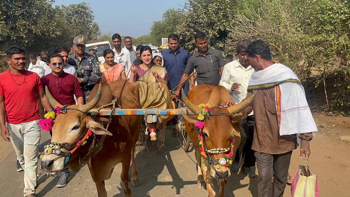 आज तर नवनीत राणा यांनी चक्क बैलगाडीची सवारी केली. इतकंच नाहीतर बैलगाडी सुद्धा चालवली.