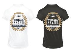 Business Idea: घर बैठे शुरू कर सकते हैं टी-शर्ट प्रिंटिंग का शानदार बिजनेस, सिर्फ ₹70 हजार में होगा शुरू