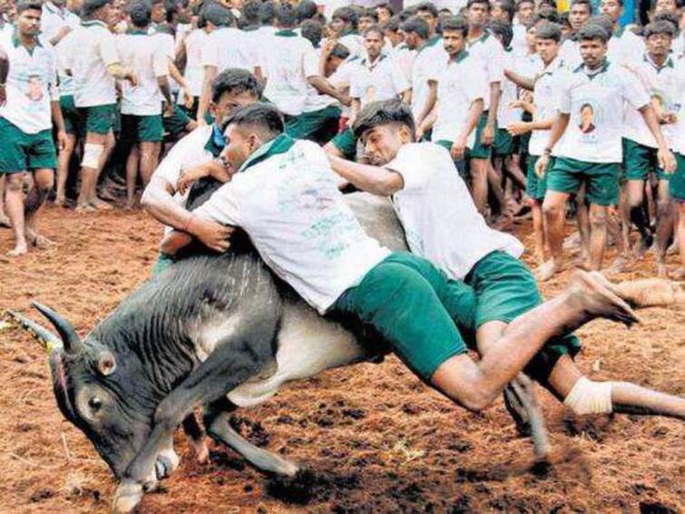 Legal action against those who conduct jallikattu without permission அரியலூரில் அனுமதி பெறாமல் ஜல்லிக்கட்டு  நடத்துபவர்கள் மீது சட்டப்படி நடவடிக்கை