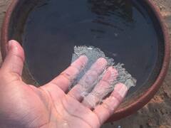 राजस्थान में घने कोहरे के बीच जारी है कड़ाके की सर्दी का सितम, यहां ठंड में पानी बन जा रहा है बर्फ