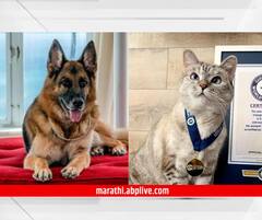 Richest Pets in the World : कोणी कोट्यधीश, तर कोणी अब्जाधीश; जगातील सर्वात श्रीमंत पाळीव प्राणी