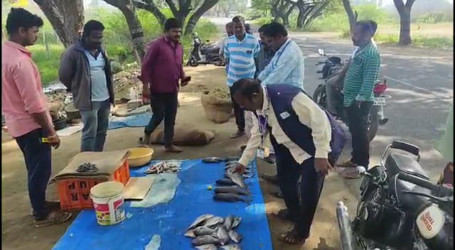 பென்னாகரம் மீன் மார்க்கெட்டில்  உணவு பாதுகாப்பு அதிகாரிகள் திடீர் ஆய்வு