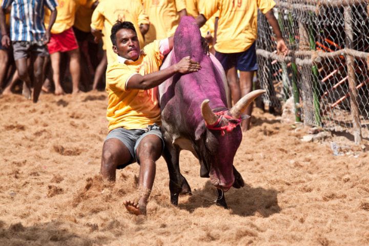 அரியலூரில் அனுமதி பெறாமல் ஜல்லிக்கட்டு  நடத்துபவர்கள் மீது சட்டப்படி நடவடிக்கை