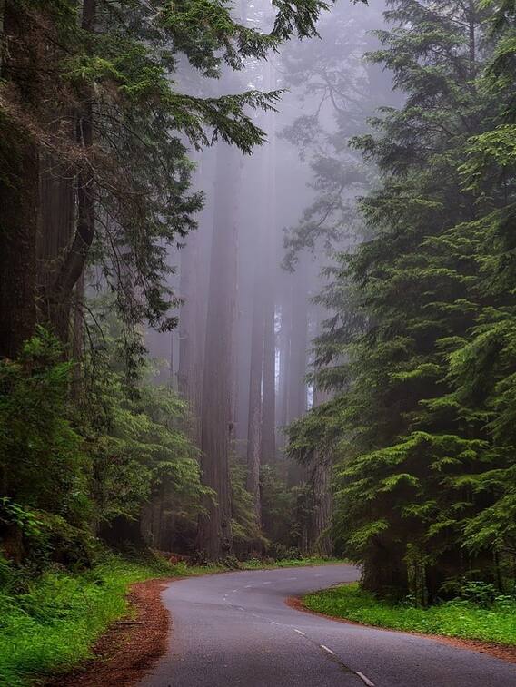 ”மிதமான மழைக்கு வாய்ப்பு”