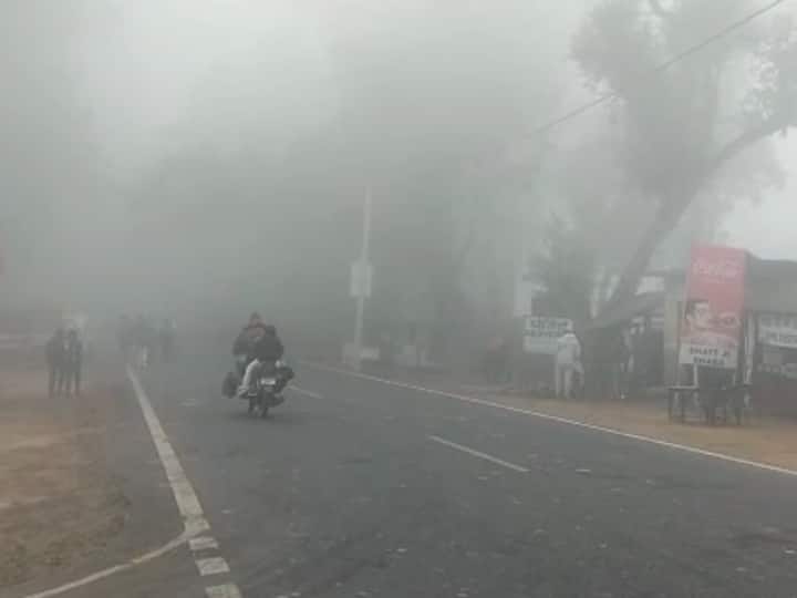 Uttarakhand News: कड़ाके की ठंड से बेहाल हुआ उत्तराखंड का ये इलाका, भयंकर सर्दी से घरों में दुबके लोग Khatima Udham Singh Nagar Uttarakhand severe cold wave temperature visibility reduced fog Meteorological Department ANN Uttarakhand News: कड़ाके की ठंड से बेहाल हुआ उत्तराखंड का ये इलाका, भयंकर सर्दी से घरों में दुबके लोग