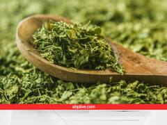 दुनिया में 'कसूरी मेथी' बेचता है भारत, लेकिन क्रेडिट ले जाता है पाकिस्तान! दिलचस्प है इसकी कहानी