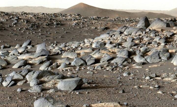 এর পাশাপাশি জ্যোতিষশাস্ত্রেও এই পাথরের অসীম গুরুত্ব। প্রাচীন কালে রাজা-মহারাজাদের মধ্যে এই পাথর ধারণ করার চল ছিল। জ্যোতিষশাস্ত্র অনুযায়ী, এই পাথর ধারণ করলে জীবনের সব ক্ষেত্রে বিজয়ী হওয়া যায়।