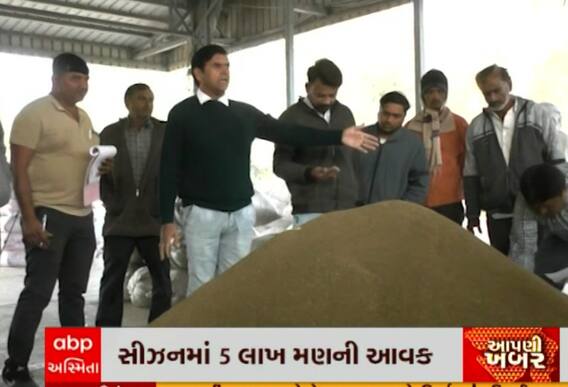 Jamnagar: હાપામાં અજમાની ભારે આવક, જાણો પ્રતિ મણ કેટલા બોલાયા ભાવ?, Watch Video