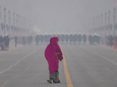 Several Parts Of North India Reel Under Cold Wave Condition — See Pics