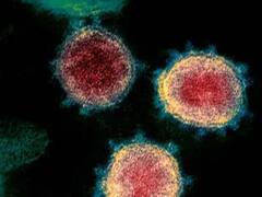 दुनियाभर में दहशत के बीच साउथ अफ्रीका में आया कोरोना का नया वेरिएंट 'क्रैकेन', तेजी से फैलता है वायरस