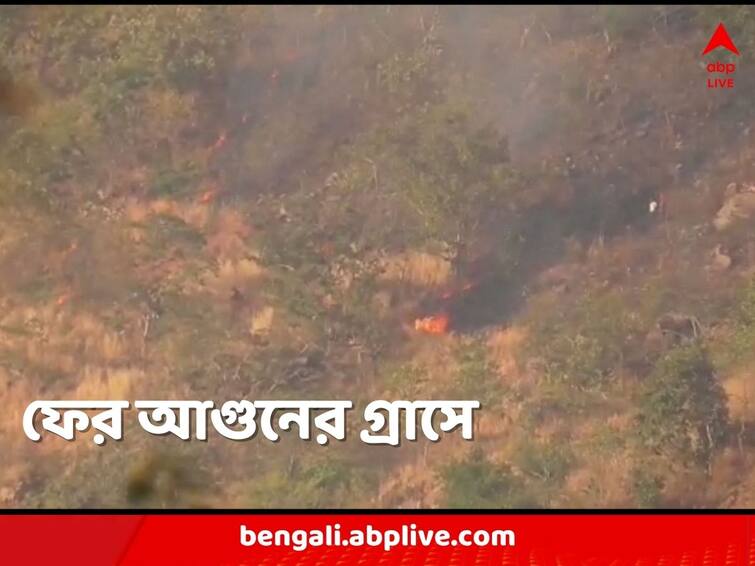 Bankura Susunia Hill forest caught fire again Forest department took step immediately Bankura News: শীতের মরসুমে ফের বিপত্তি, শুশুনিয়া পাহাড়ে আগুন, কোথায় গলদ, খতিয়ে দেখা শুরু