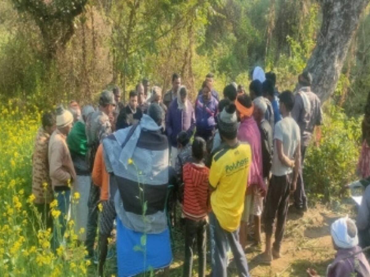 Panic Grips Jharkhand As Leopard Attacks Kill 25 People In 5 Days