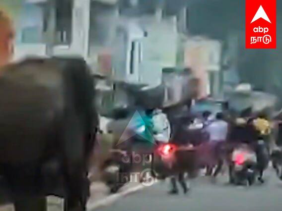 Kovai Elephant Attack Today : ஊருக்குள் புகுந்து விரட்டிய யானை.. அலறியடித்து ஓடிய பொதுமக்கள்..