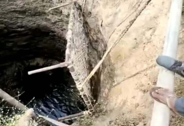 Two lions dead in open well in Amreli Amreli: અમરેલીમાં ખુલ્લા કુવામાં ખાબકતા સિંહ અને સિંહણના મોત,  સિંહને બચાવવા ખેડૂતનો મરણિયો પ્રયાસ ન આવ્યો કામ