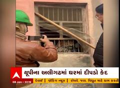 UP: અલીગઢમાં બાળક પર હુમલો કરનાર દીપડો ઘરમાં થયો કેદ, ઘરના સભ્યોનું કરાયું રેસ્ક્યુ