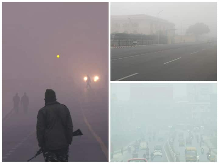 North India shivers amid a cold wave and a dense layer of fog covers parts of Uttar Pradesh, Delhi and West Bengal.