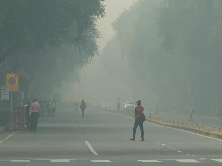 delhi ncr weather update imd issued orrange for cold wave and yellow alert for extreme fog life disrupted severe cold Delhi-NCR Weather Update:  ਸੀਤ ਲਹਿਰ ਤੇ ਕੋਹਰੇ ਦਾ ਕਹਿਰ, ਔਰੇਂਜ ਅਲਰਟ ਜਾਰੀ, ਕੜਾਕੇ ਦੀ ਠੰਡ ਕਾਰਨ ਜਨਜੀਵਨ ਪ੍ਰਭਾਵਿਤ