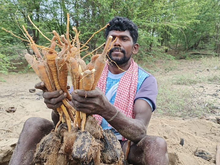 பொங்கல் தொகுப்பில் பனங்கிழங்கை சேர்க்க நடவடிக்கை எடுக்க வேண்டும் - தொழிலாளர்கள்