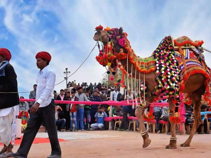 Indian Festivals List To Celebrate In January Month January Festivals: सिर्फ लोहड़ी और मकर संक्रांति ही नहीं, जनवरी में मनाए जाते हैं ये 9 फेस्टिवल