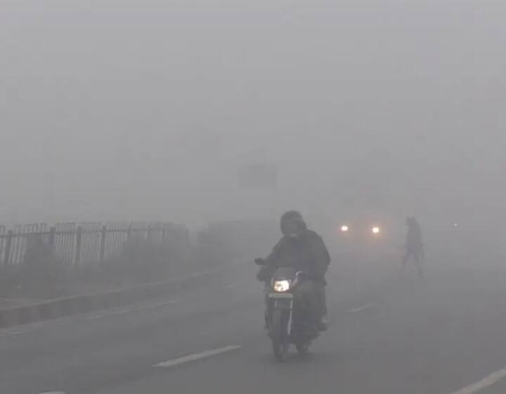 देशाच्या विविध भागात वातावरणात सातत्यानं बदल (Climate Change) होत आहे. कुठे थंडीचा कडाका (Cold Weather) तर  कुठे ढगाळ वातावरण आहे.