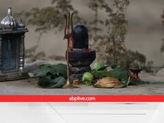 Monday Upay: सोमवार के दिन शिवलिंग पर अर्पित करें ये 6 चीजें, शिव होंगे प्रसन्न, हर मनोकामना होगी पूरी