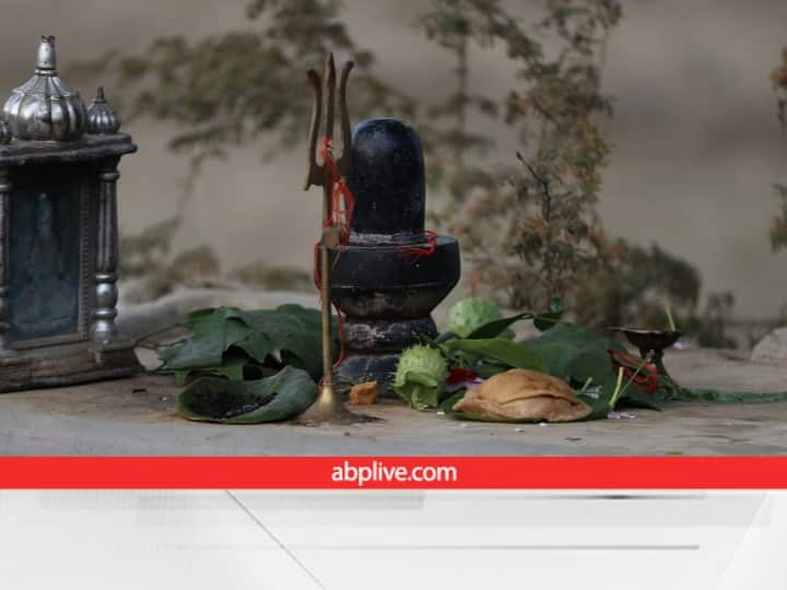 सोमवार के दिन भगवान शिव की पूजा और उनसे जुड़े कुछ खास उपाय बेहद कारगर माने जाते हैं. पुराणों के अनुसार शिव को कुछ चीजें बेहद प्रिय हैं और शिवलिंग पर आस्थापूर्वक इन्हें अर्पित करने से शंकर भगवान प्रसन्न होकर भक्तों की हर मनोकामना पूरी करते हैं. आइए जानते हैं शिव को कौन सी चीजें बेहद प्रिय हैं.