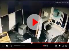 शिवपुरी: एमपी का अजब चोर, दुकान में चोरी करने के बाद किया जमकर डांस, जश्न मनाते हुए खाया गुटखा और...